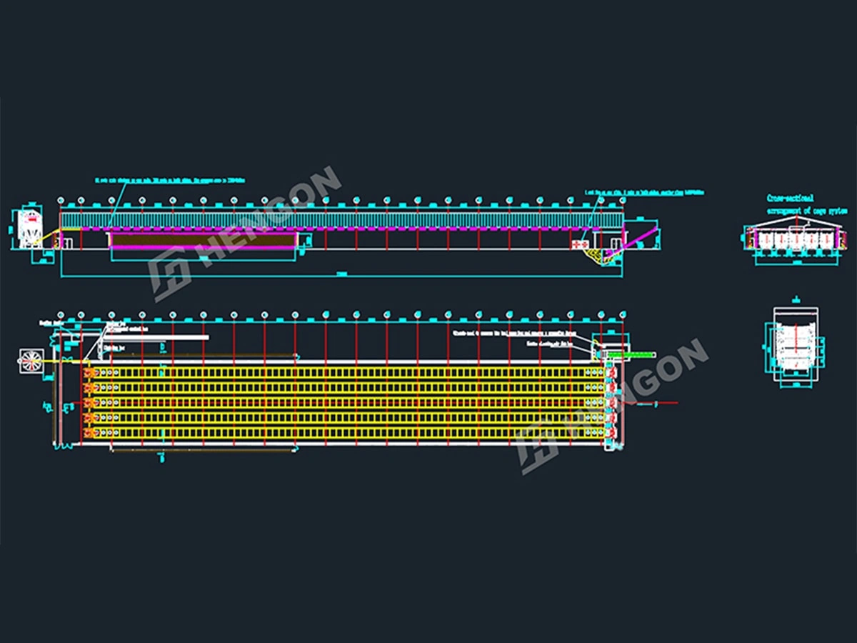 Philippines - Poulets de chair en cage 